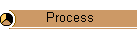 Process